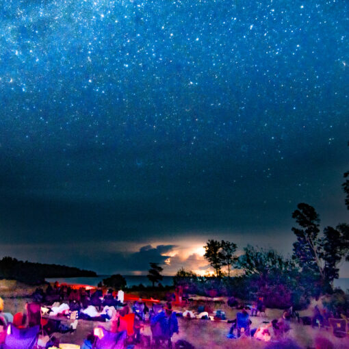 moutray perseids viewing