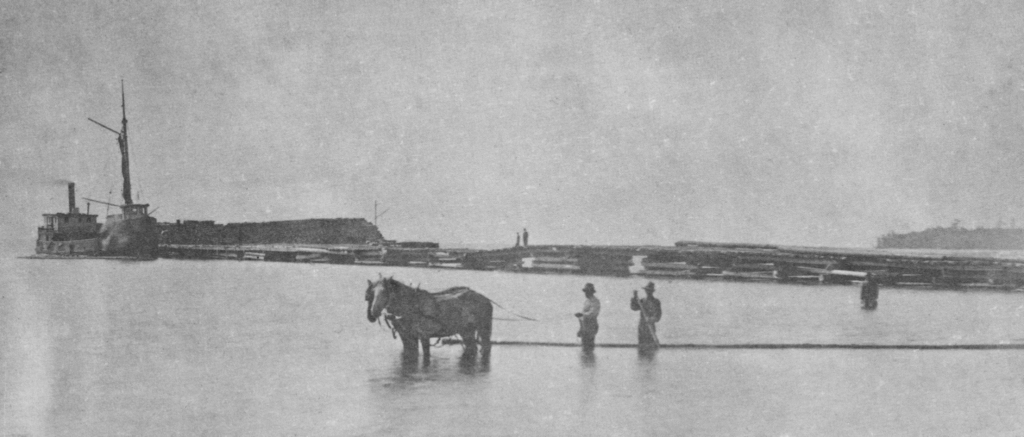 History of Newport Newport Wilderness Society