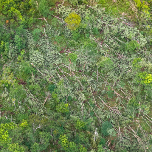 Daniel Anderson Photography