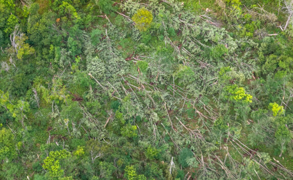 Daniel Anderson Photography