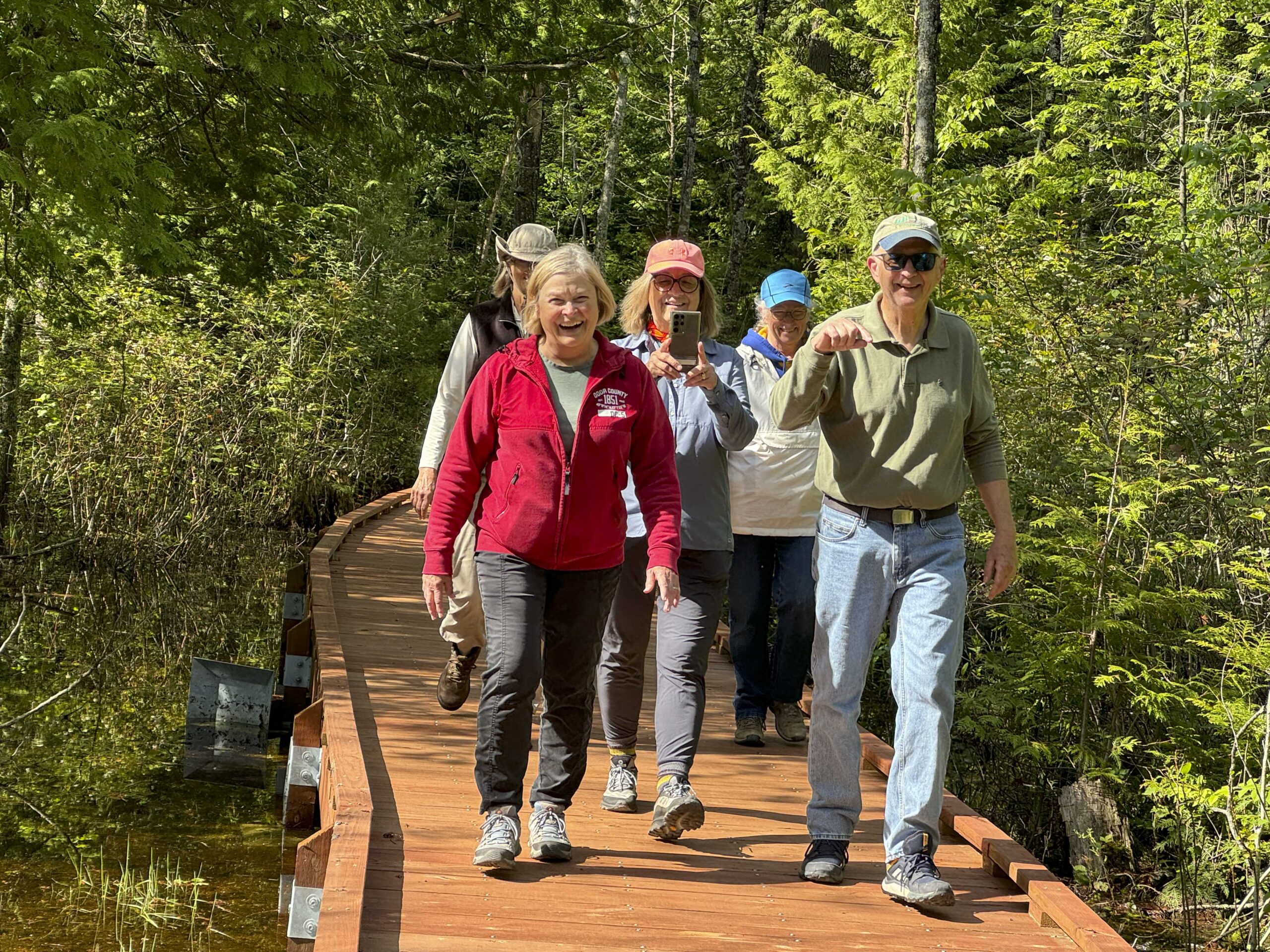 Fern Trail