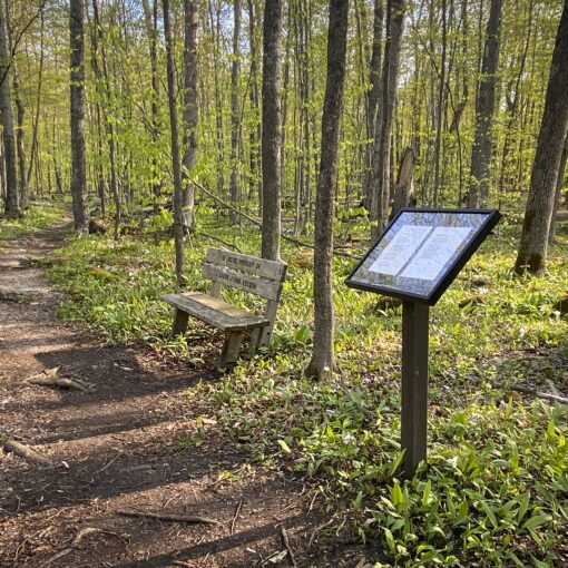poetry trail stanchions
