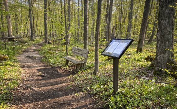 poetry trail stanchions