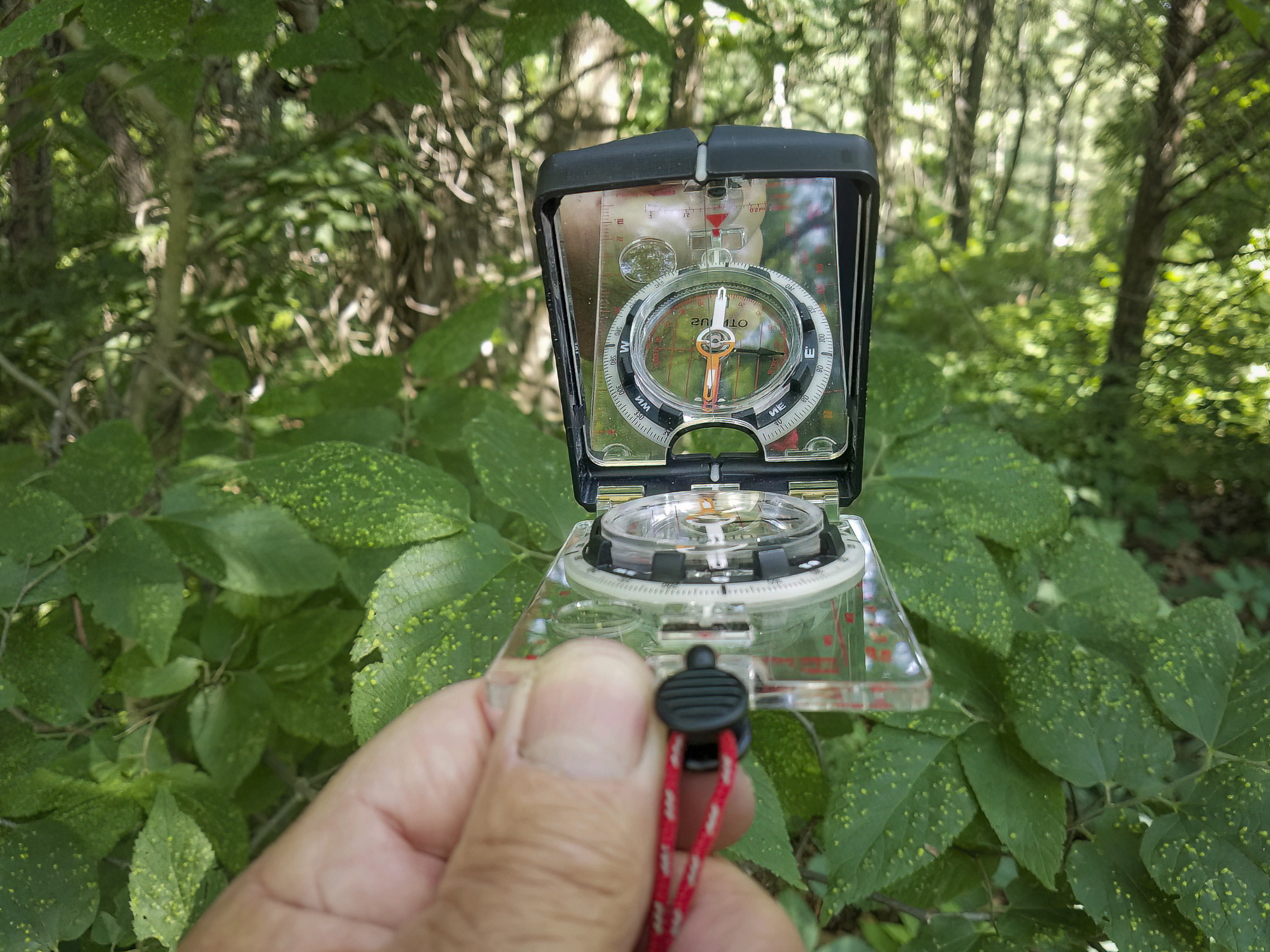 orienteering compass foszcz